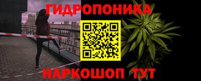 дмт Ефремов