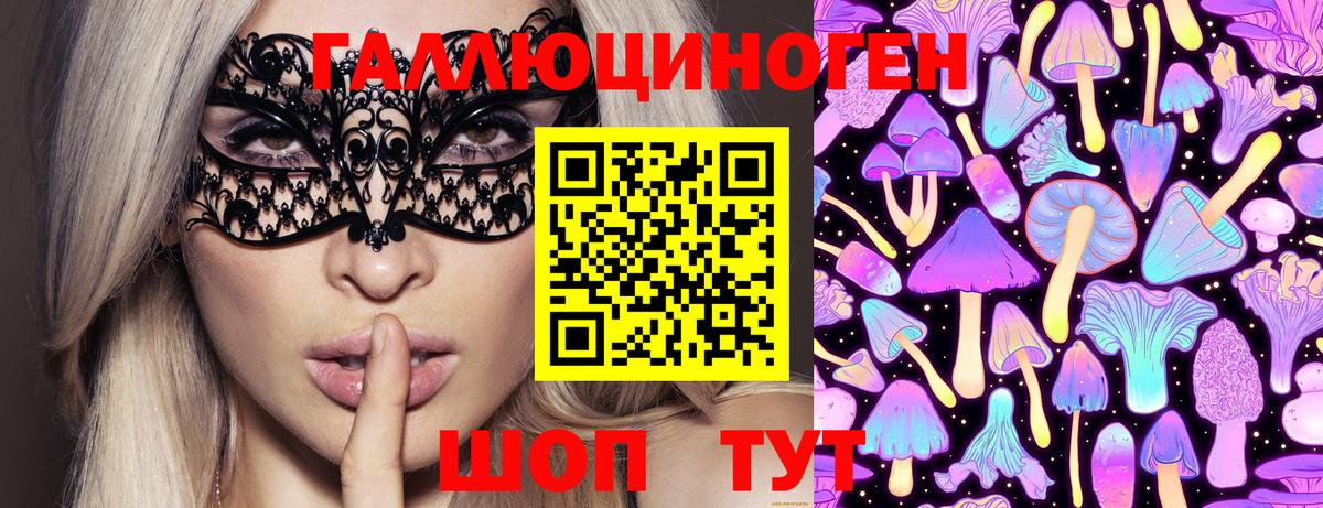 Комсомольск-на-Амуре  Галлюциногенные грибы Psilocybine cubensis  Вход с VPN 